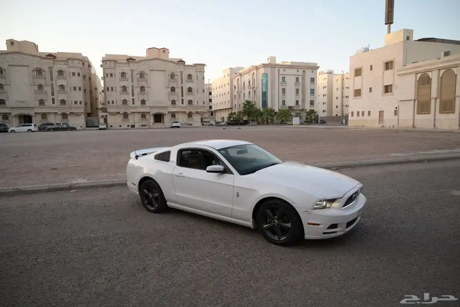 موستنج 2014 V6 11