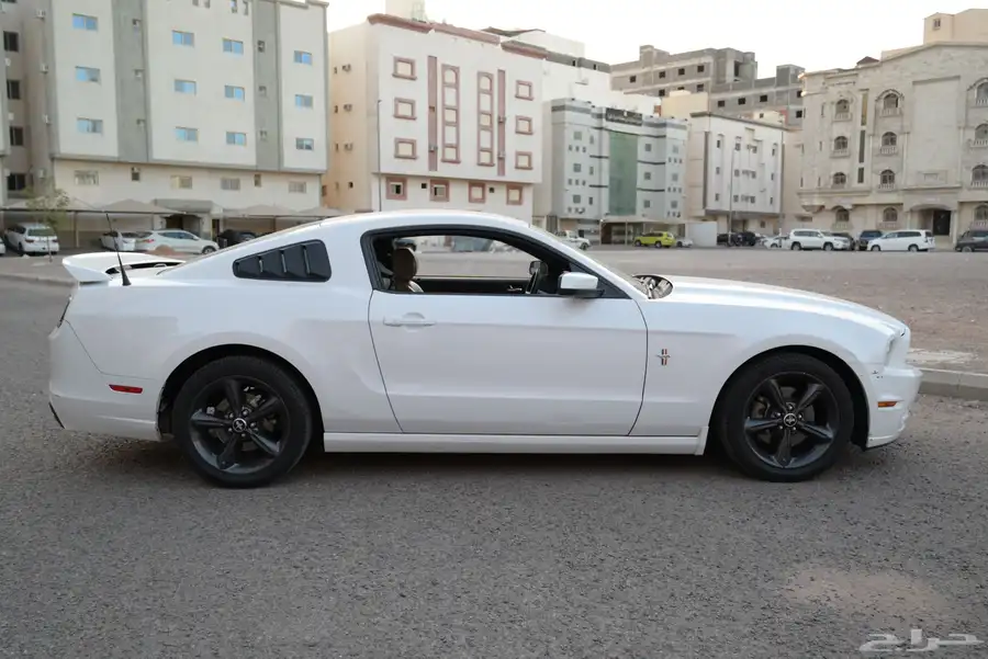 موستنج 2014 V6 4