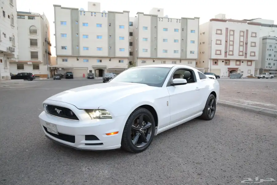 موستنج 2014 V6 17