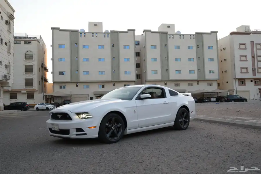 موستنج 2014 V6 14