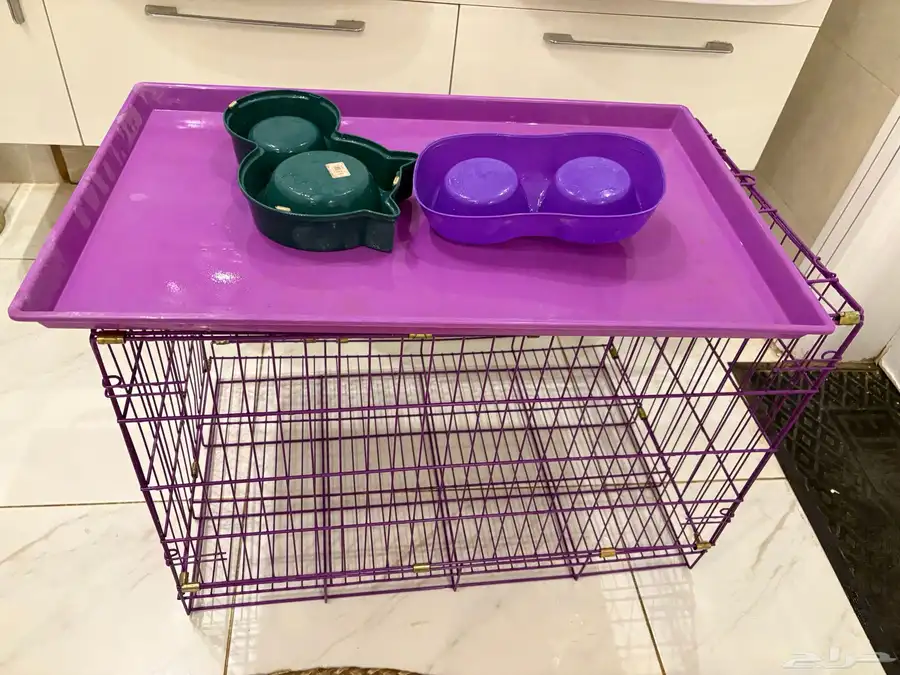 بيت بسه 5