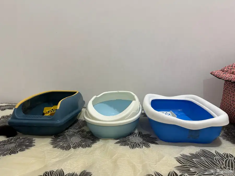 cat house and litter box 0