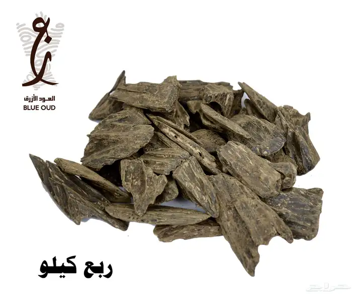 كلمنتان العود الأزرق 3