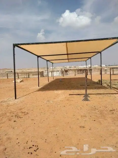 مظلات ابل مظلات غنم 10