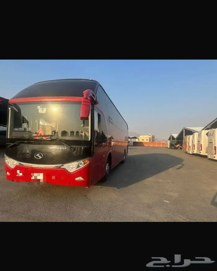 باصات صيني الايجار الشهري او السنوي 1