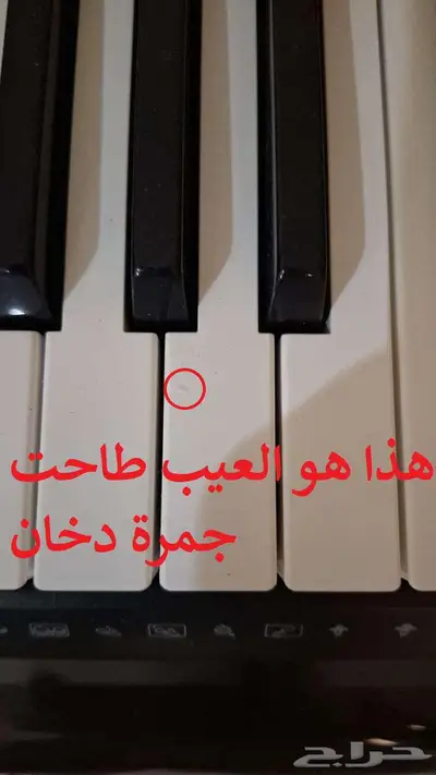 كاسيو لوحة مفاتيح موسيقية CT-X3000 أورج بيانو 2