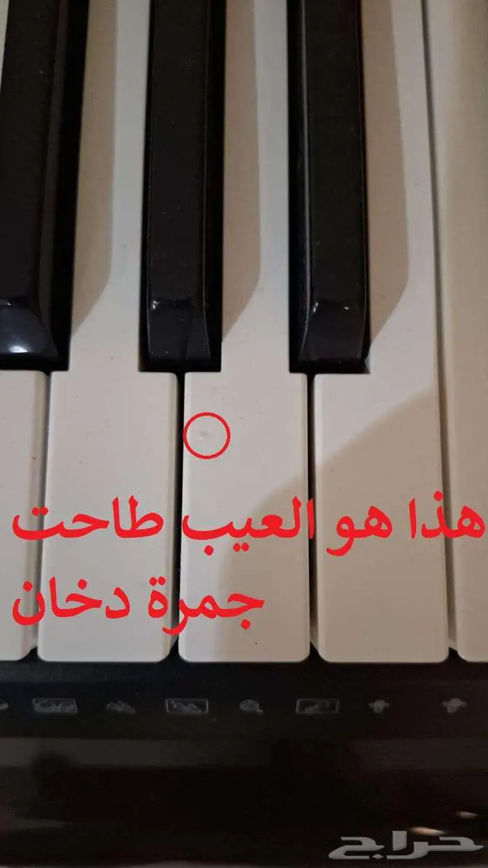 كاسيو لوحة مفاتيح موسيقية CT-X3000 أورج بيانو 2