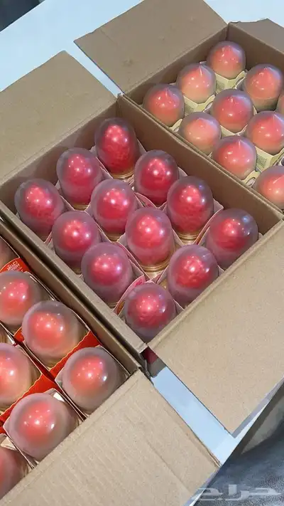 ايس كريم الهبه وبسعررالجمله. 6