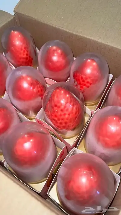ايس كريم الهبه وبسعررالجمله. 2