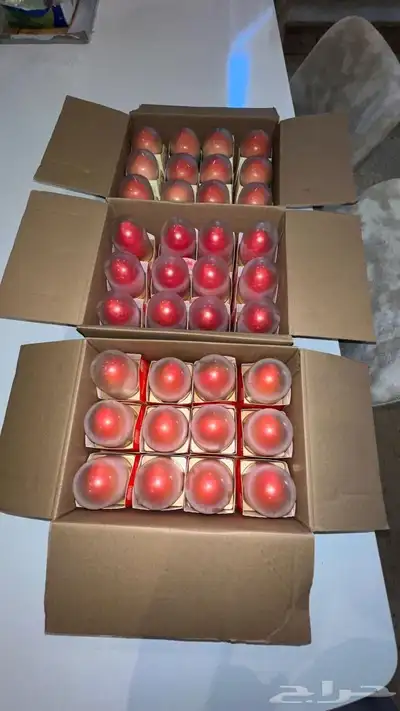 ايس كريم الهبه وبسعررالجمله. 7