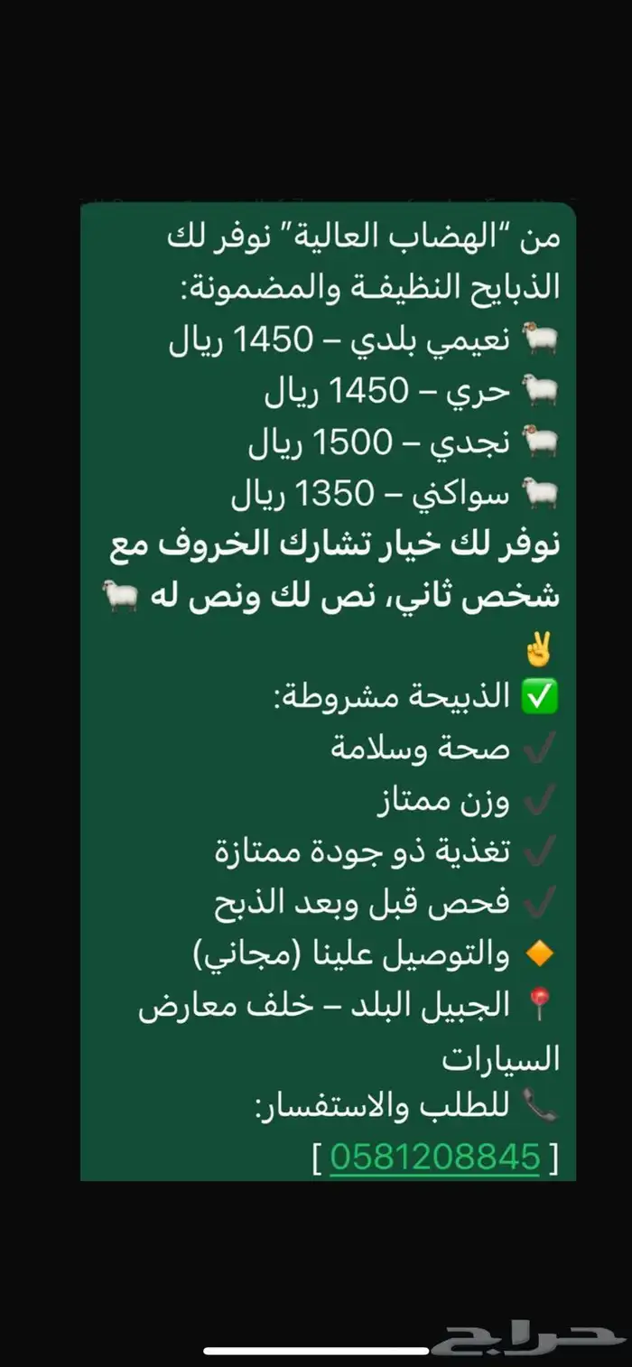 خرفان نعيم - حري - نجدي - تيوس 1