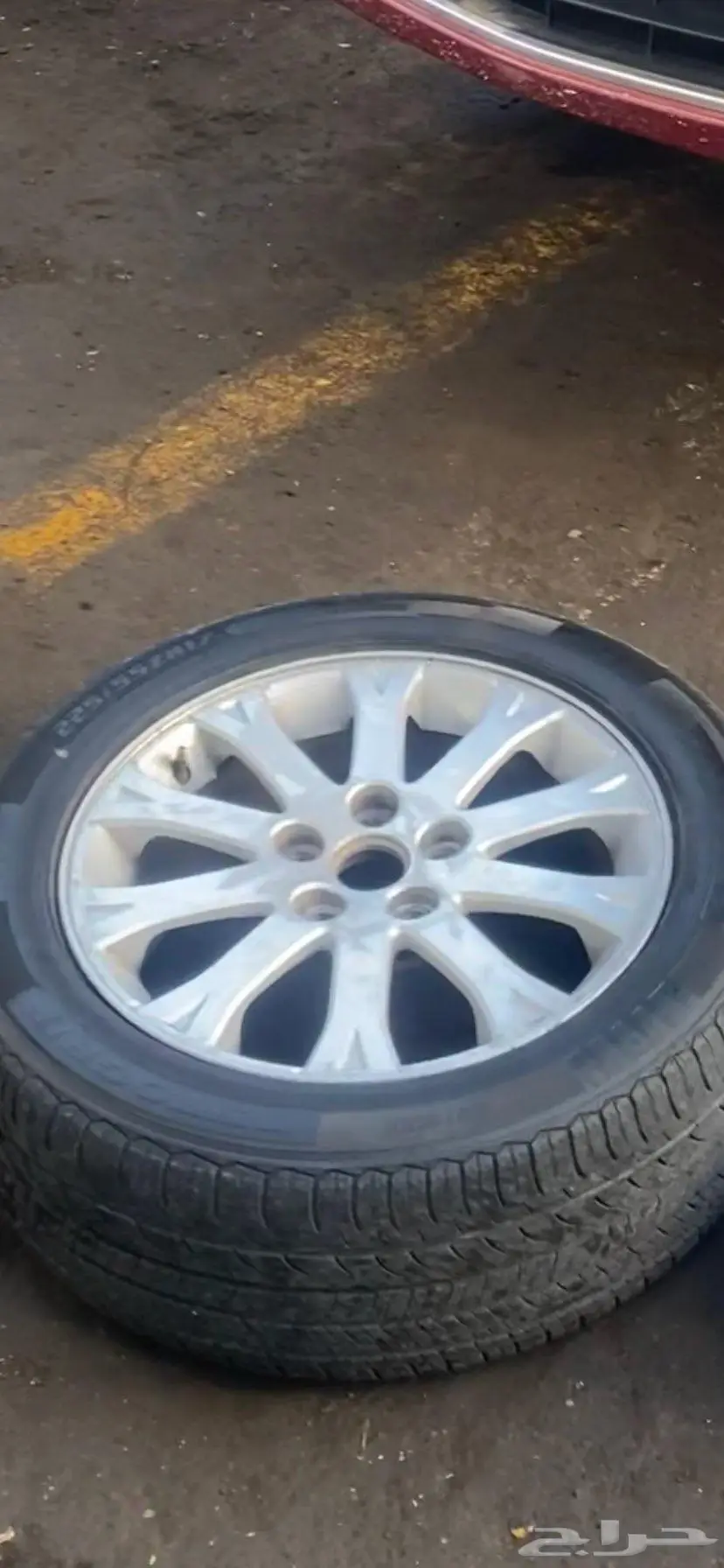 جنوط كابرس رويال اصلي وكالة GM 10