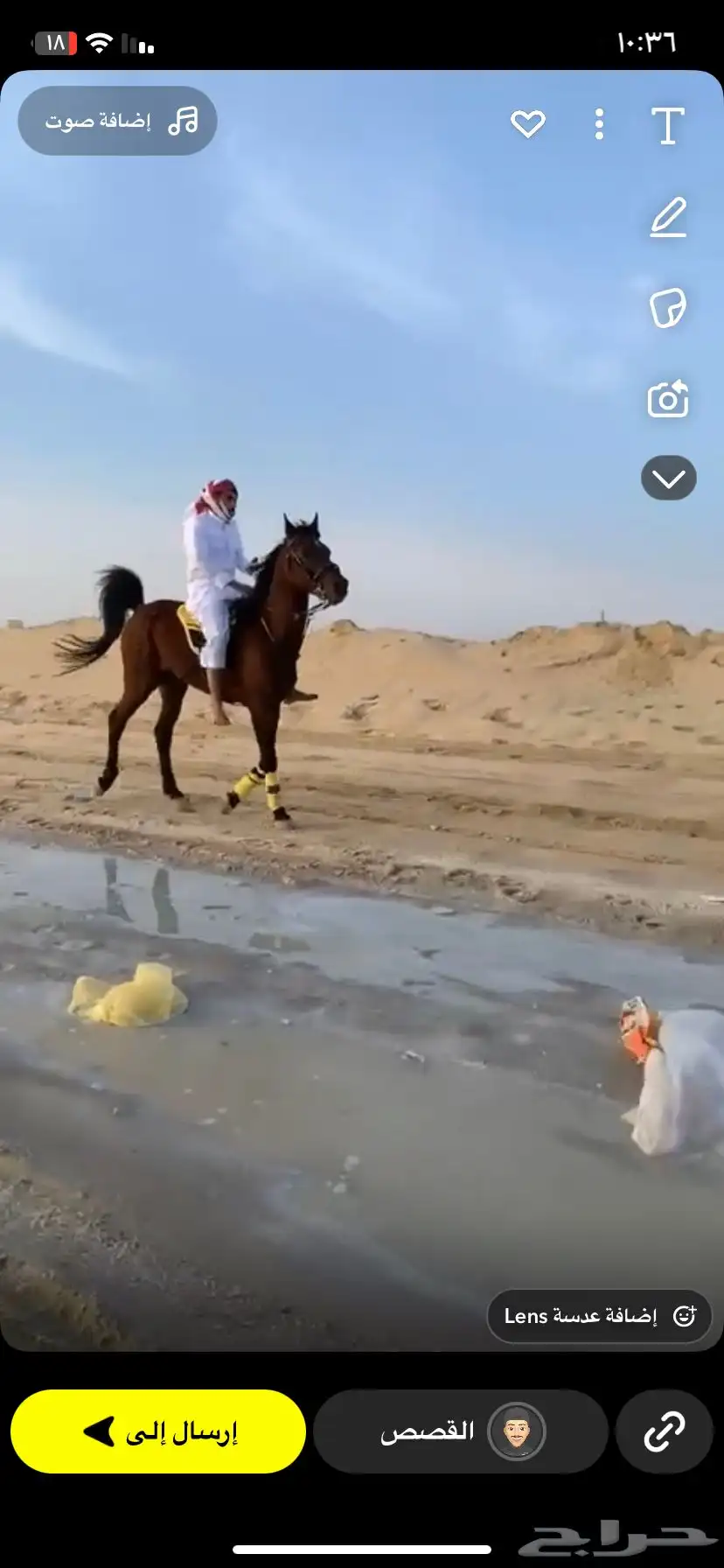 حصان شعبي 0