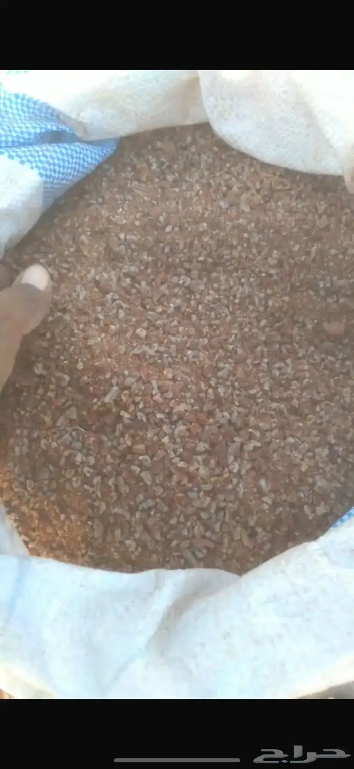 علف نوى مجروش مع التمر 1