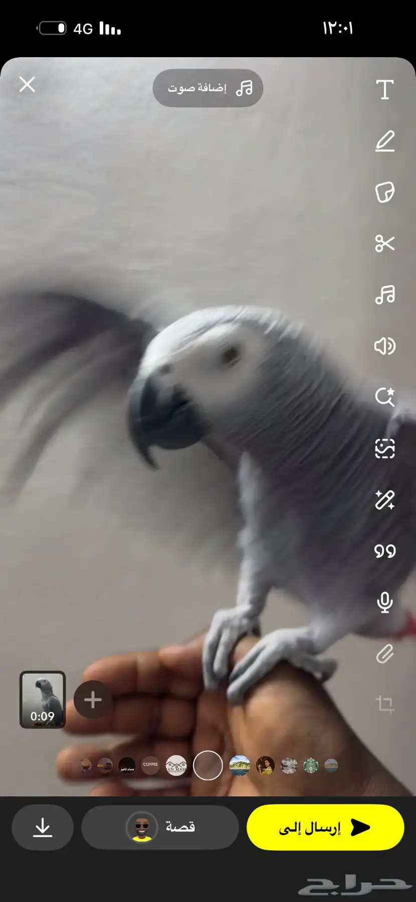 كاسكو مميز 0