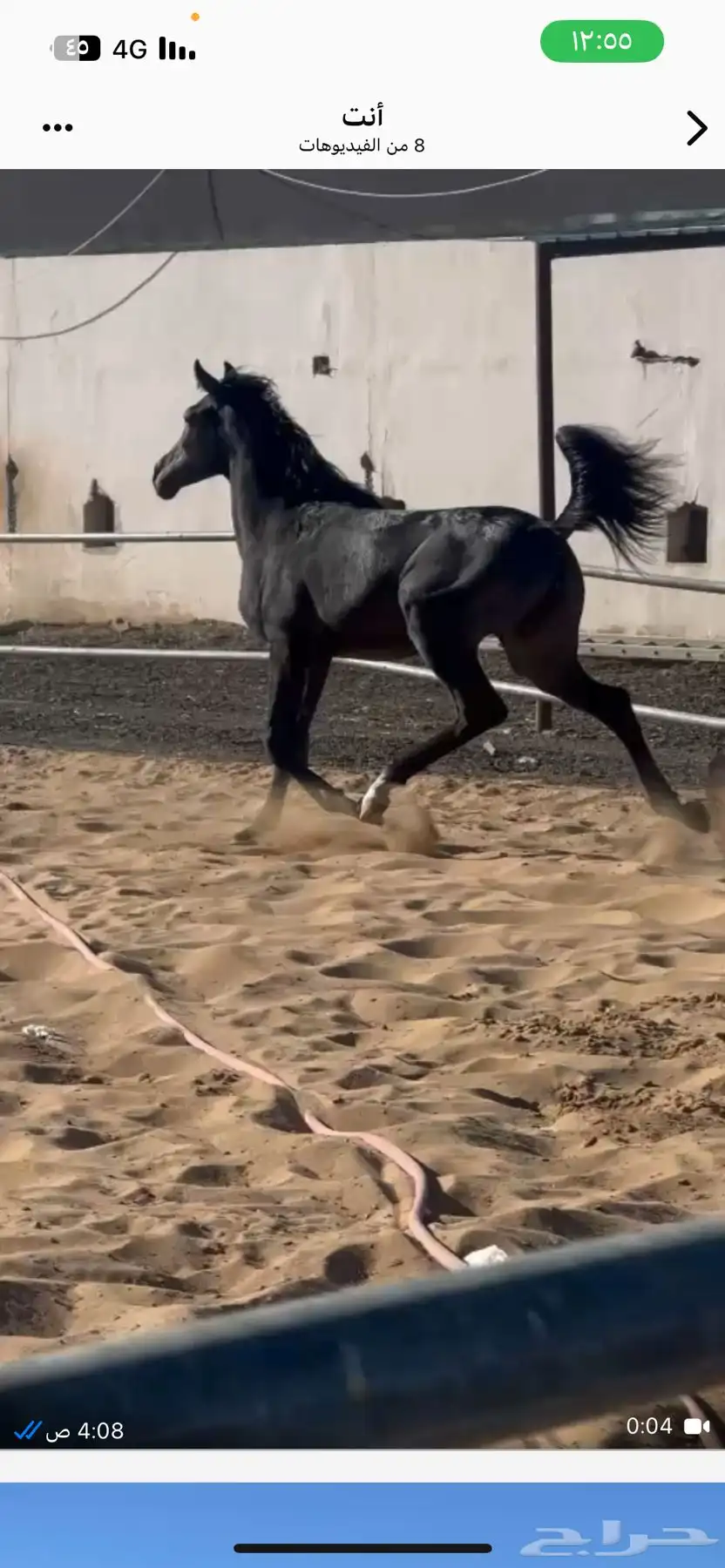 مهره مكس للبيع 4