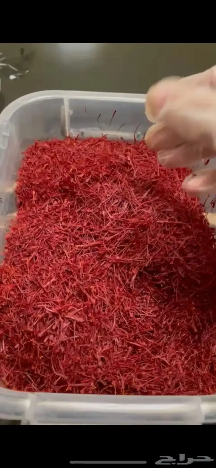 زعفران ايراني 3