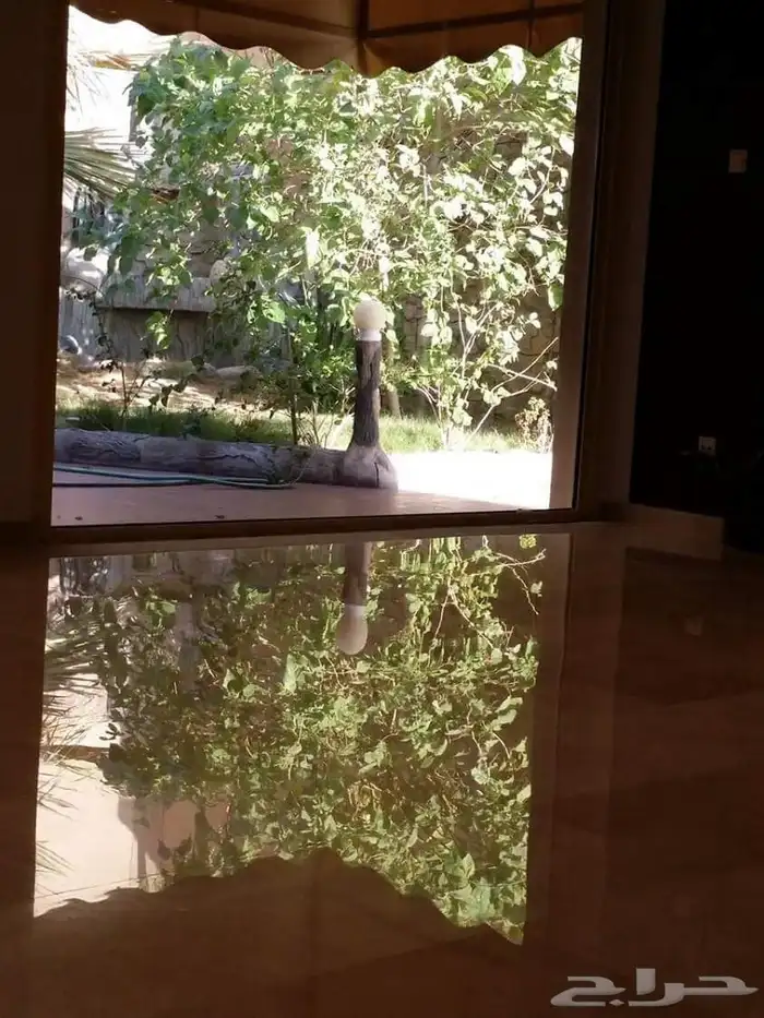 جلي وتلميع الرخام والبلاط 17