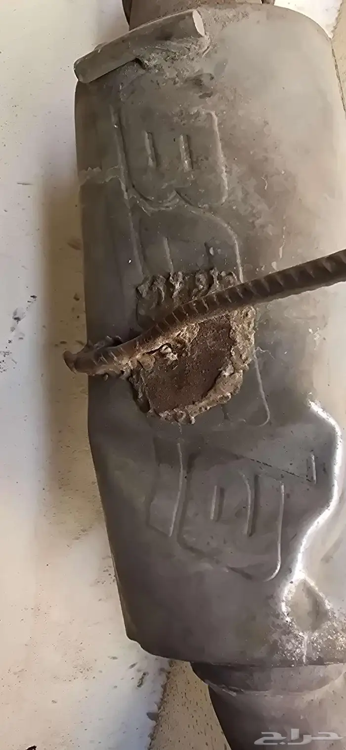 دبات بورلا اصلي 6