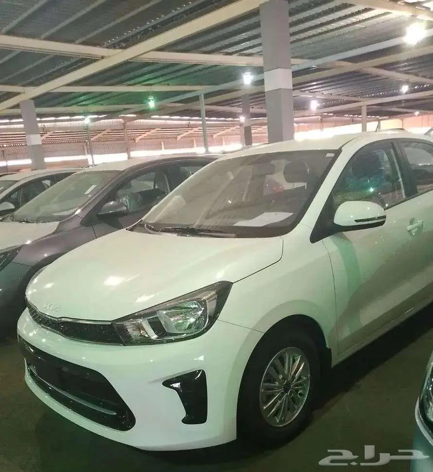 كيا بيجاس استندر جنوط (مطور جنط) 2025 لون ابيض 0