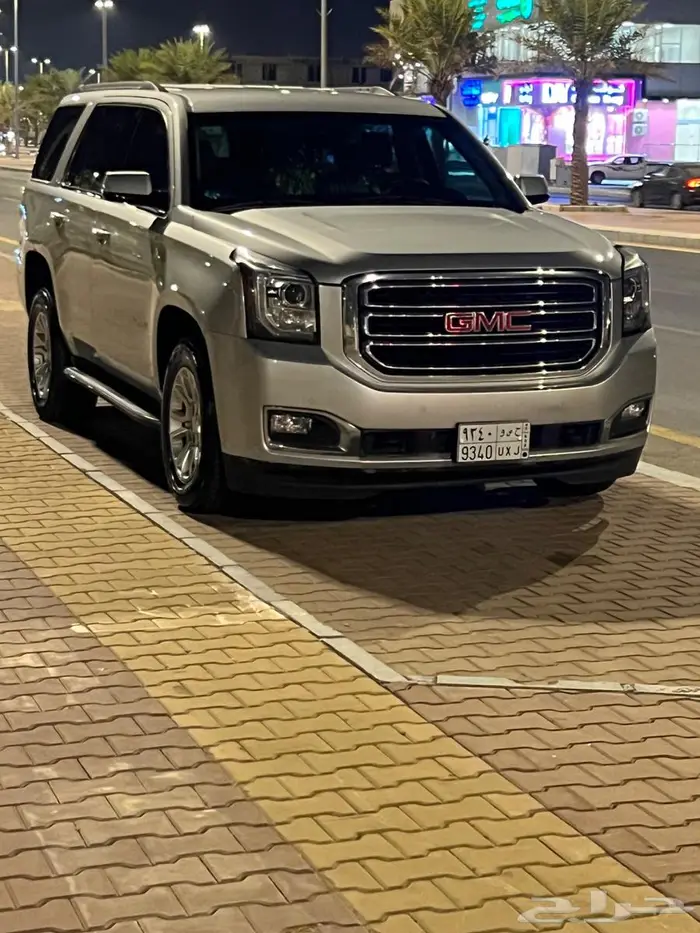 محايل عسير معرض هادي المطري 9