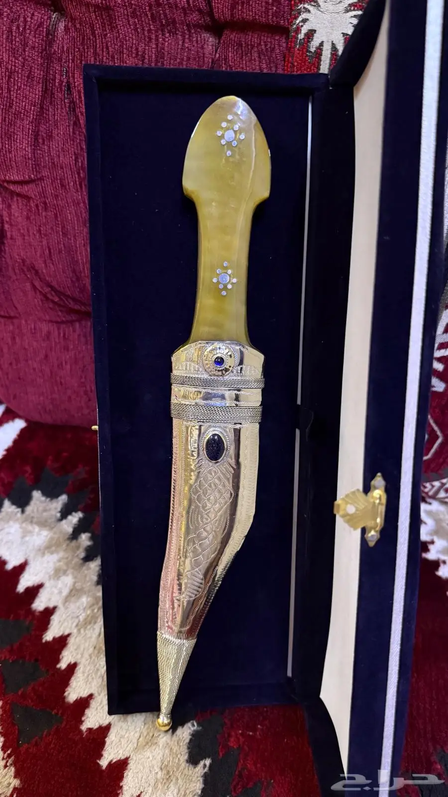 شباري نايف محيسن 4