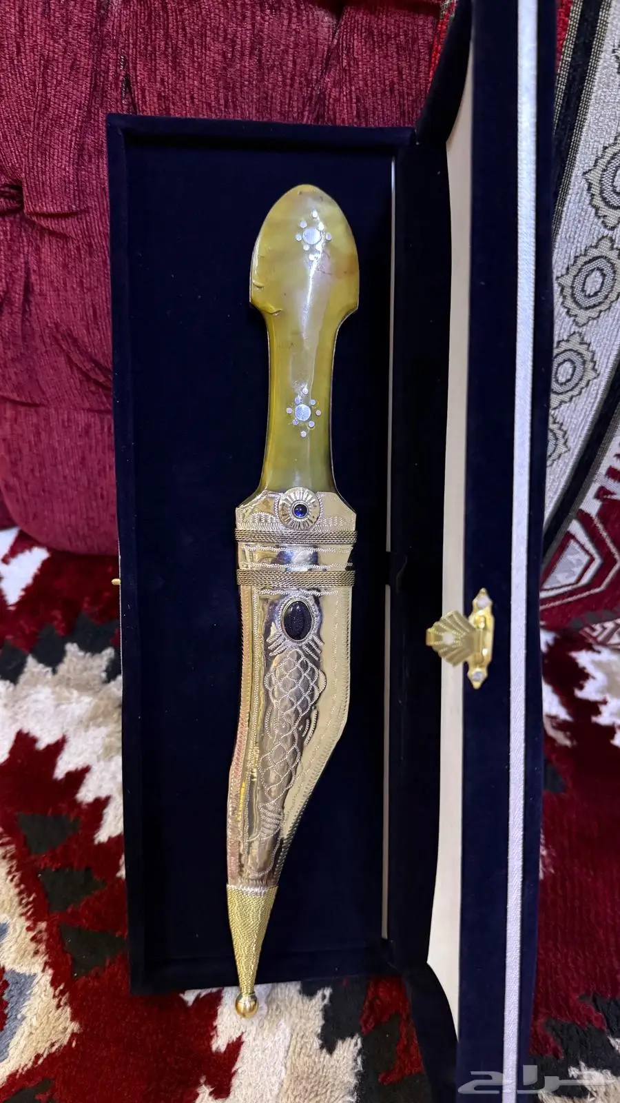 شباري نايف محيسن 6
