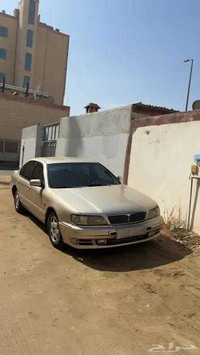 مكسيما 98 والوحه 189 سرن وربي سرن 5