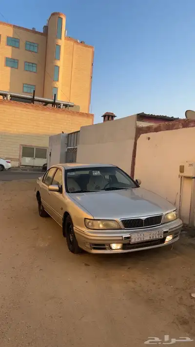 مكسيما 98 والوحه 189 سرن وربي سرن 3