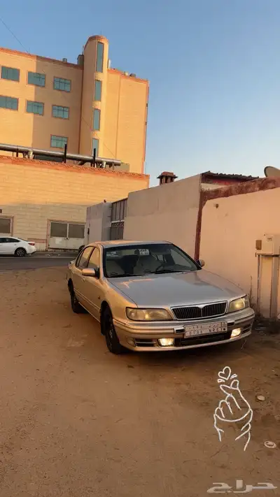 مكسيما 98 والوحه 189 سرن وربي سرن 4
