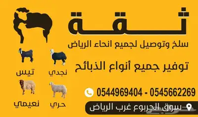 سلام عليكم أسعد صباحكم بالخير جميعا نوفر جميع ماتحتاجونه مع 0