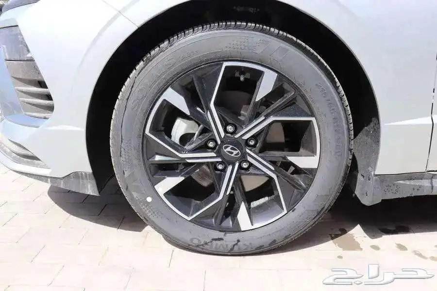 سونتا فليت 12