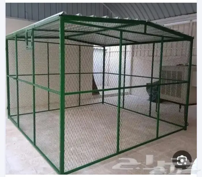 عشة طيور ثلاث في ثلاث جدد 0