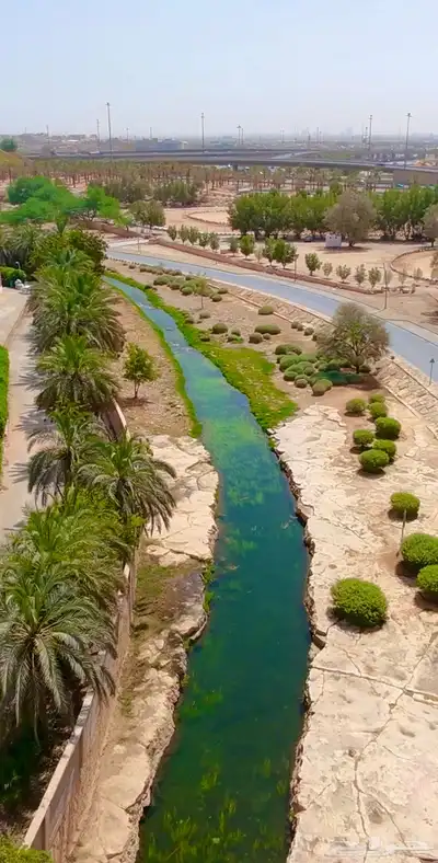 تصوير درون طائرة مصرحه 5