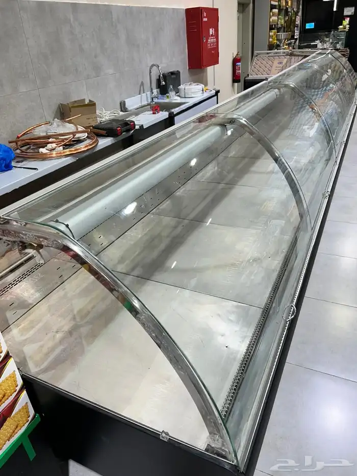 ثلاجات عرض تبريد وتجميد عصاير خضار مفرزنات 26