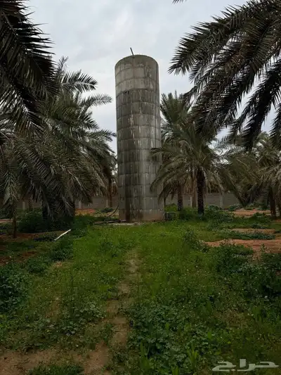 للبيع مزرعة القصيم ( المليدا الشمالية ) وغيرها الكثير 16