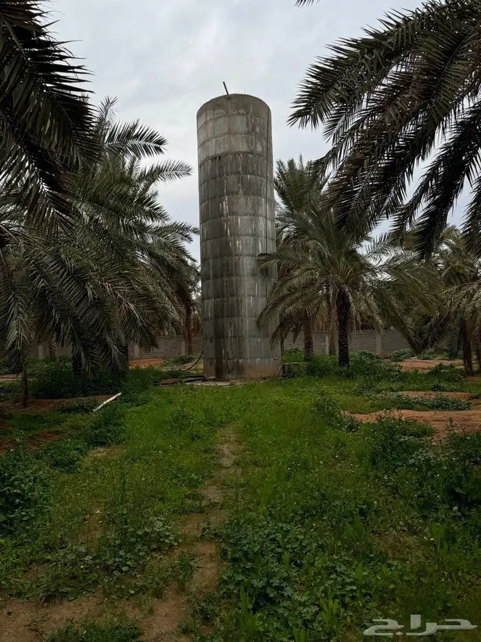 للبيع مزرعة القصيم ( المليدا الشمالية ) وغيرها الكثير 16