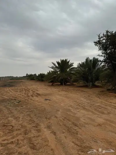 للبيع مزرعة القصيم ( المليدا الشمالية ) وغيرها الكثير 2