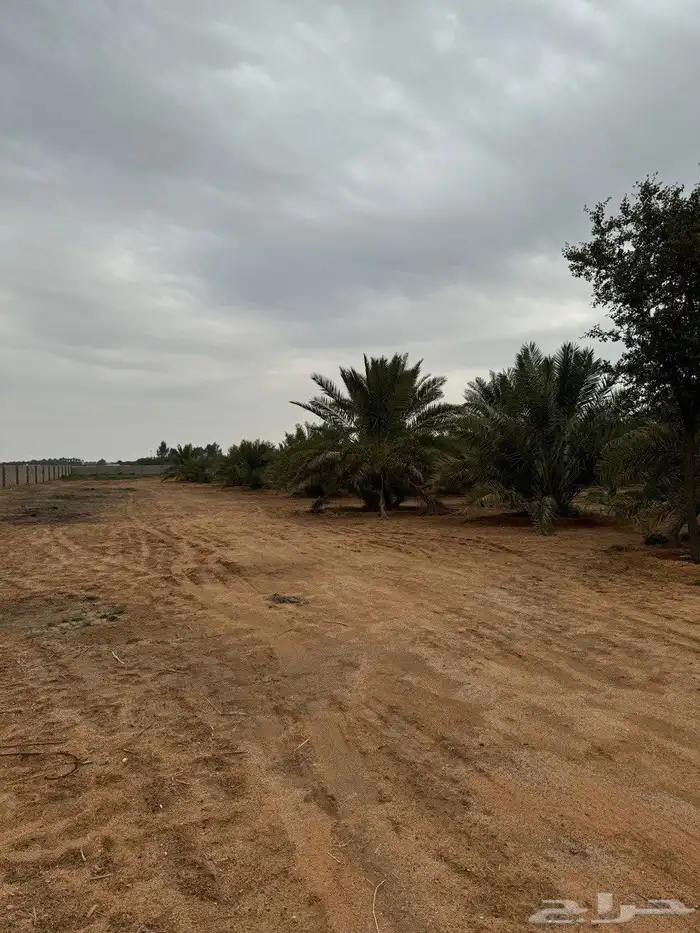 للبيع مزرعة القصيم ( المليدا الشمالية ) وغيرها الكثير 2