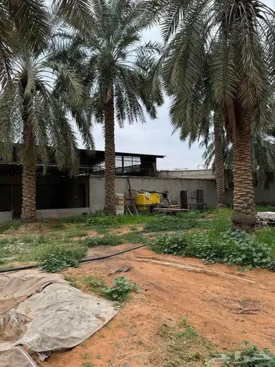 للبيع مزرعة القصيم ( المليدا الشمالية ) وغيرها الكثير 9