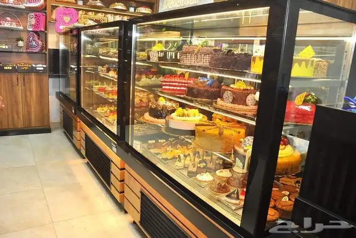 ثلاجات عرض تبريد وتجميد عصاير خضار مفرزنات 36