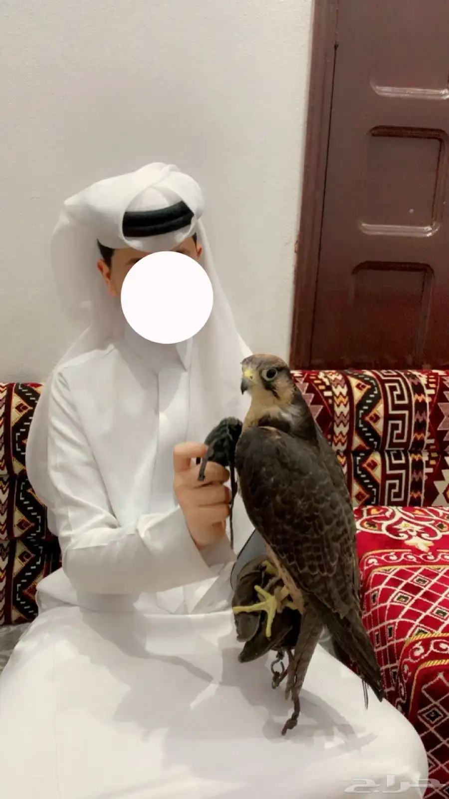 وكريه للبيع 1