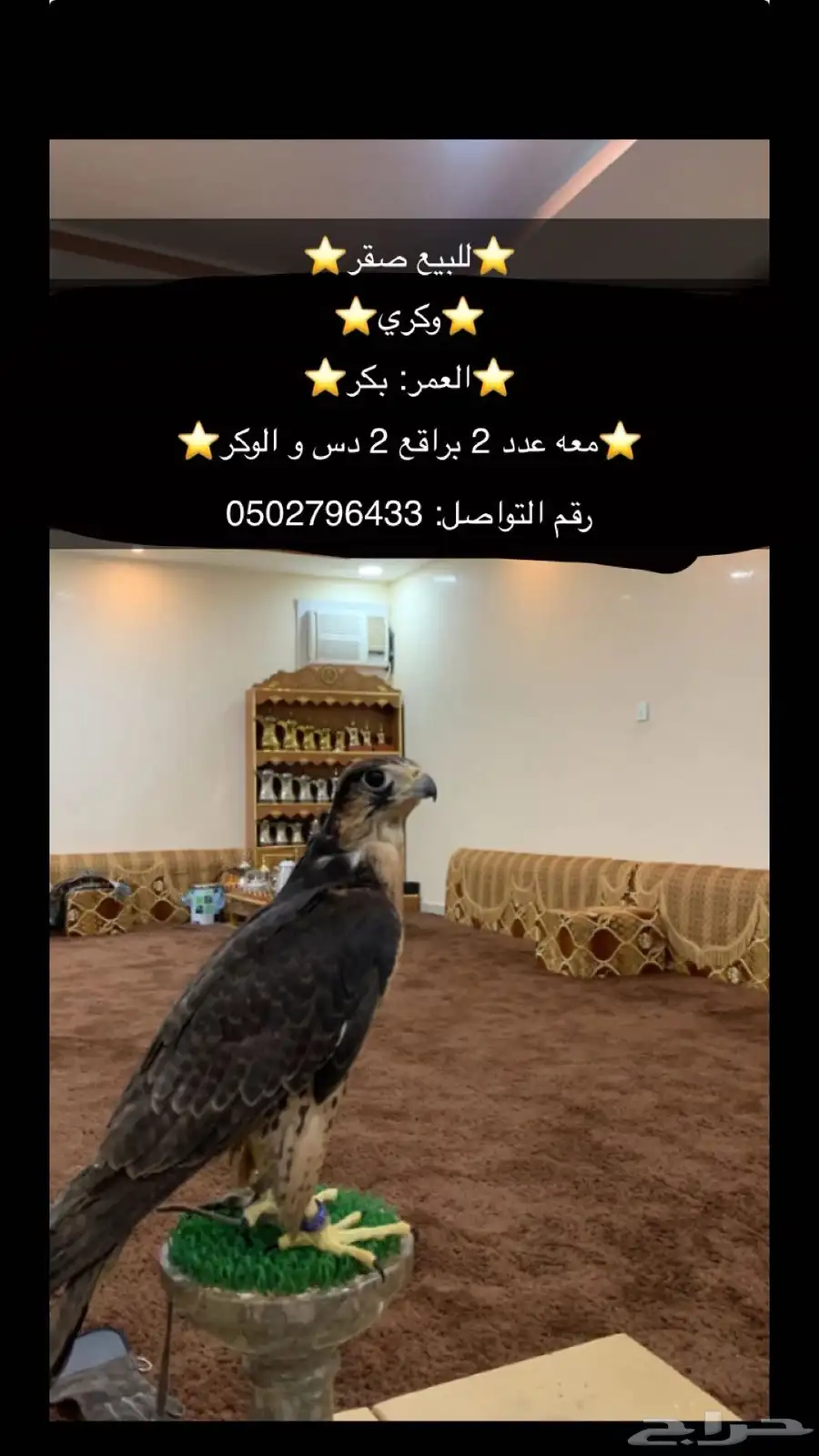 وكريه للبيع 0