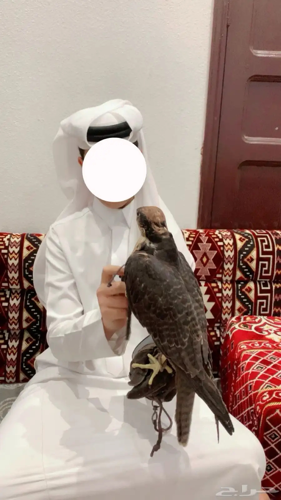وكريه للبيع 3