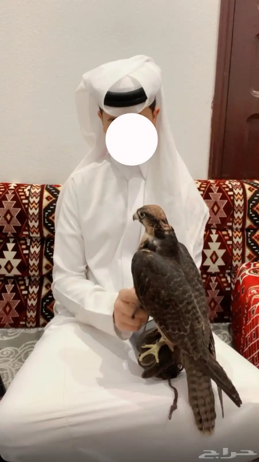 وكريه للبيع 2