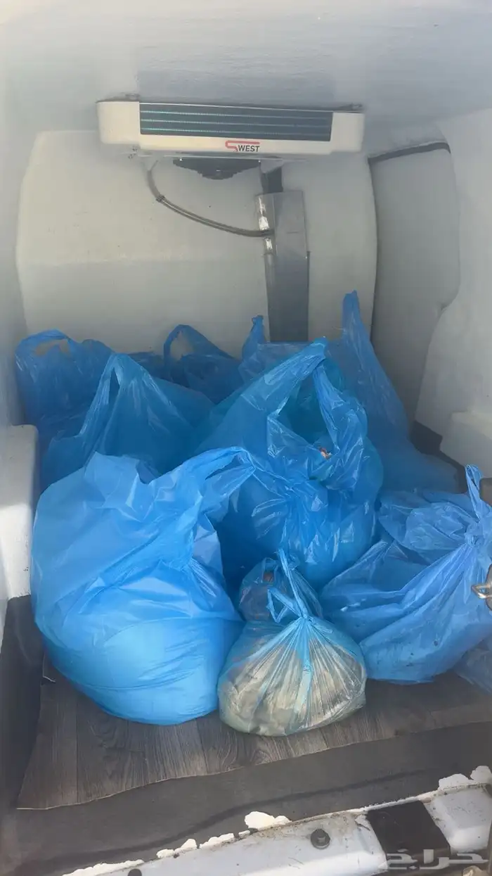 ذبائح حائل 4