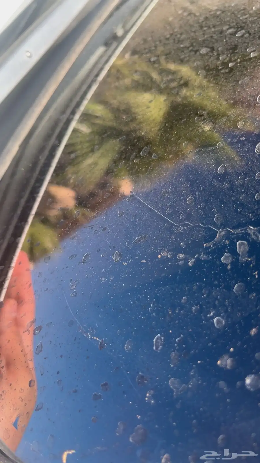 طريف 17