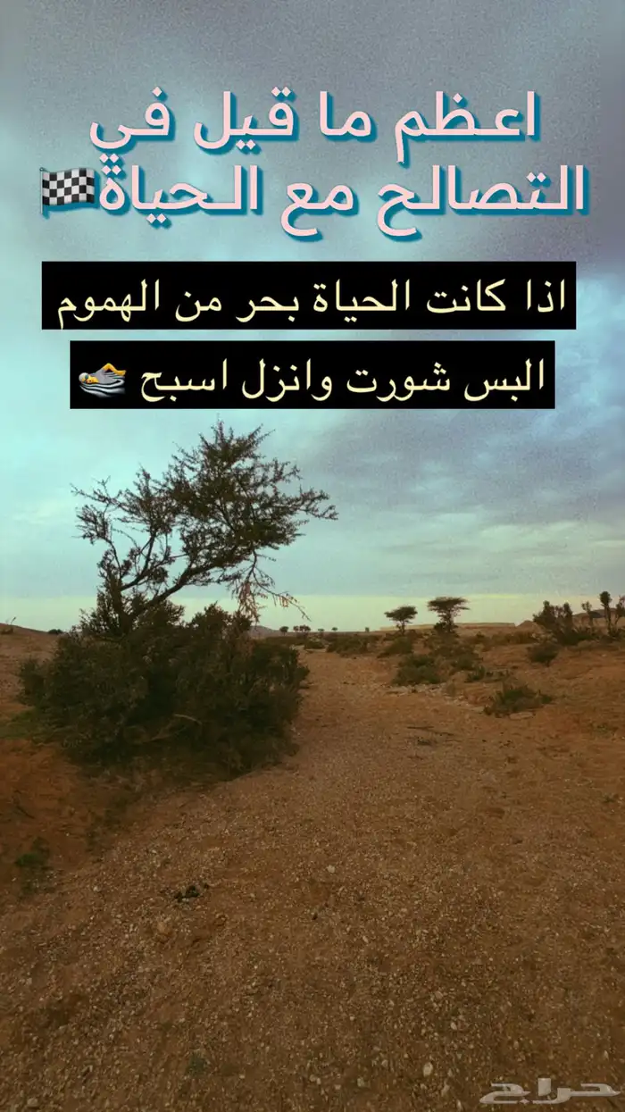 ابحث عن شتلات مجانيه في الرياض (زراعه خارجيه) 2