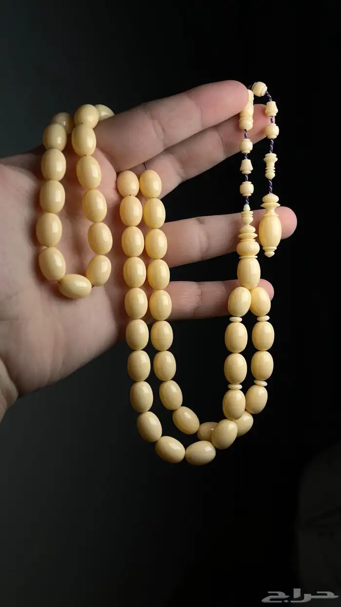 دومنة مشمشي 1