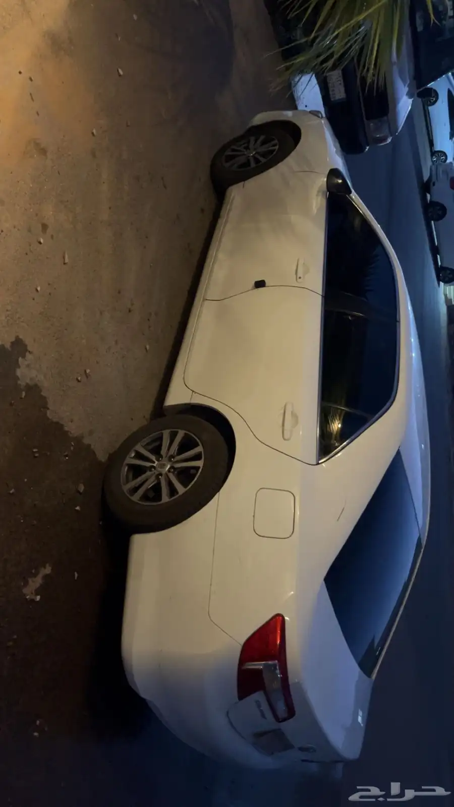 طريف 5